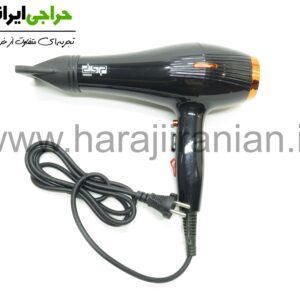 سشوار دی اس پی DSP-9520